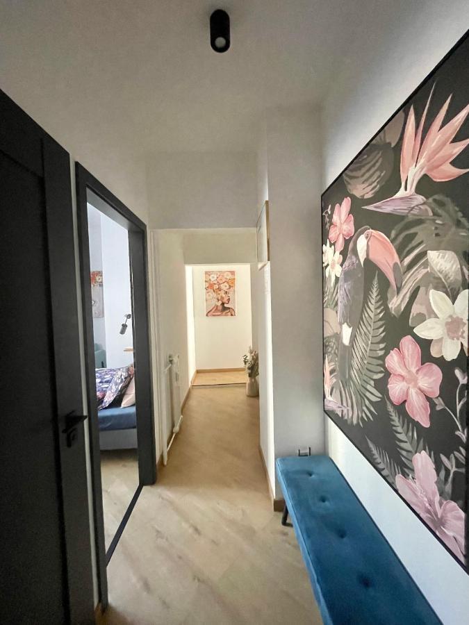 Brand New Apartment #Hollan#3Bedr#2Bathr#Freeparking Budapest Ngoại thất bức ảnh